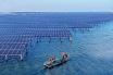 Offshore photovoltaic